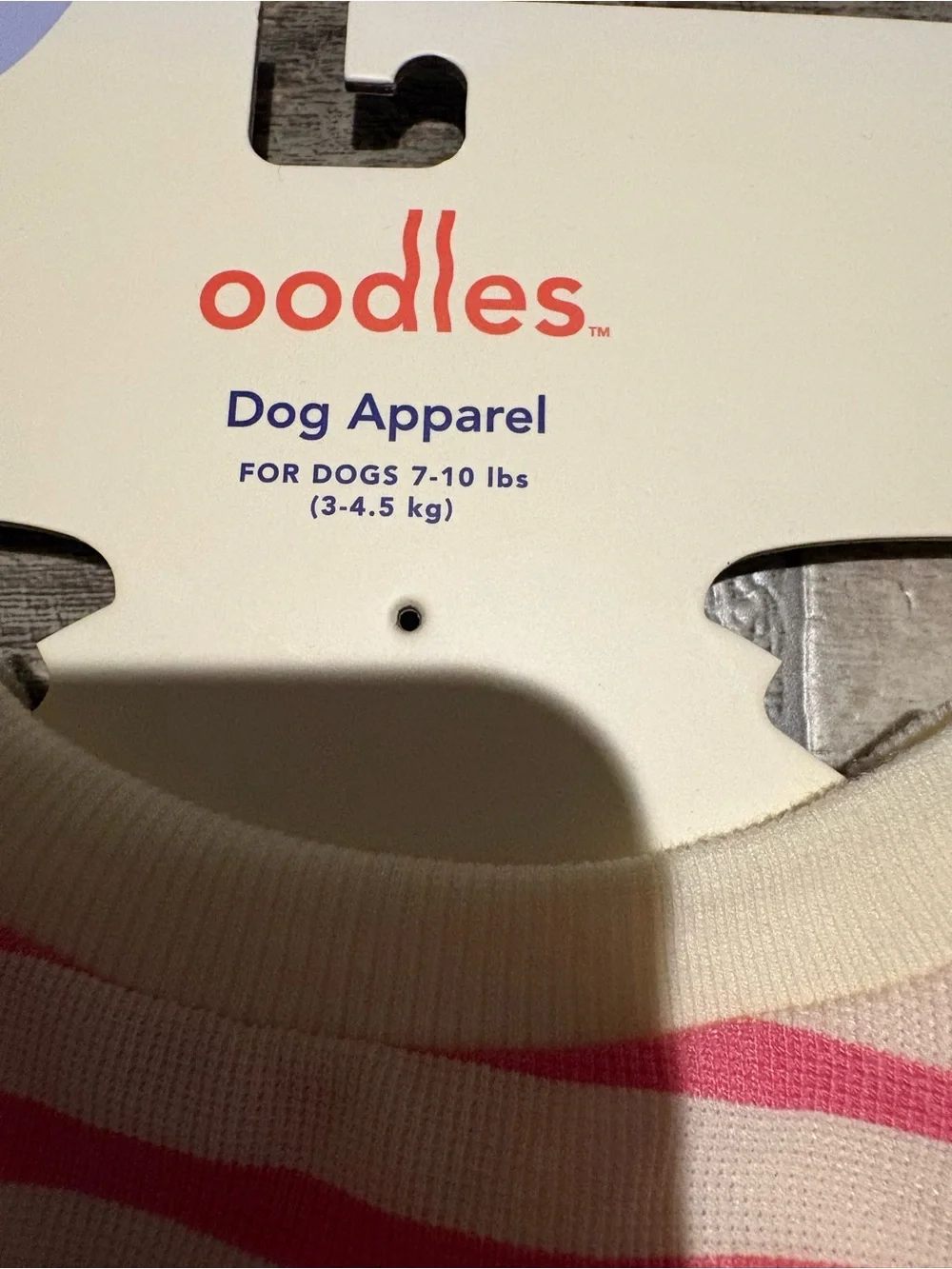 oodles cute dog
